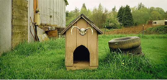 经典日恐名作《钟楼复刻版》Steam上线 今年登陆全平台